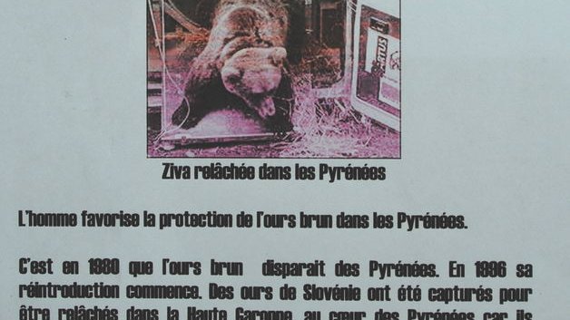 7 redimensionner